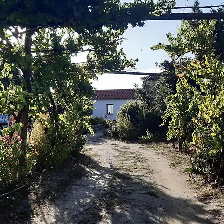 Casa Em Com Vista Para O Rio Douro *