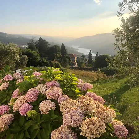 Casa Em Com Vista O Rio Douro Semesterbostad Resende